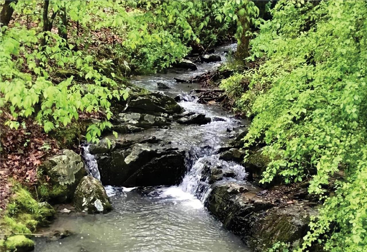 Secluded Home With Mini Waterfall And A Creek In Hot Springs Exterior photo