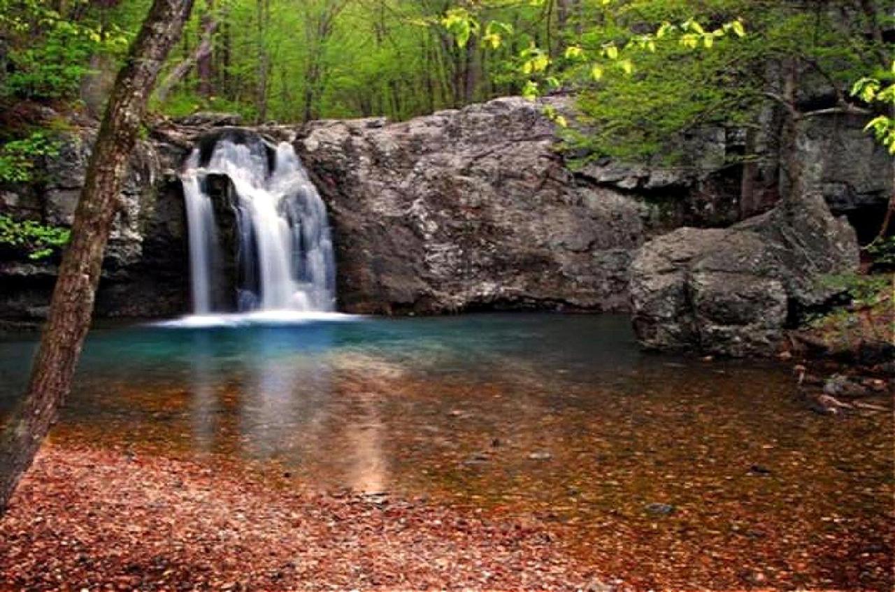 Secluded Home With Mini Waterfall And A Creek In Hot Springs Exterior photo